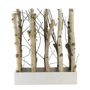 18.75" Mixed Branch Bouquet in White Wood Box Table Top Decoration