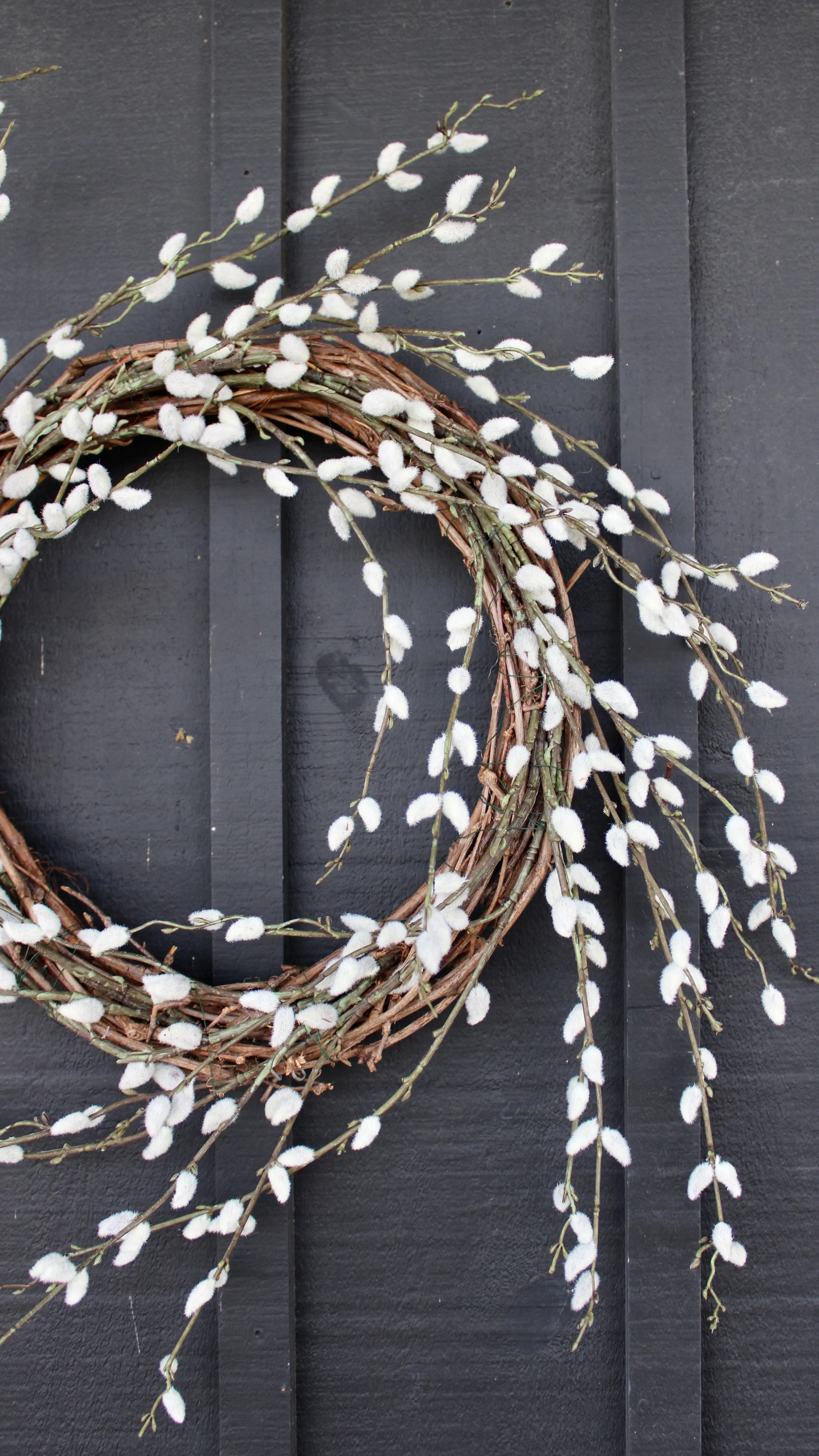 Pussy Willow Wreath