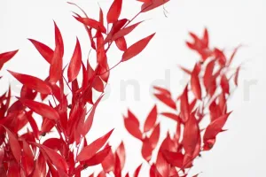 Red Long Garland Greenery Ruscus